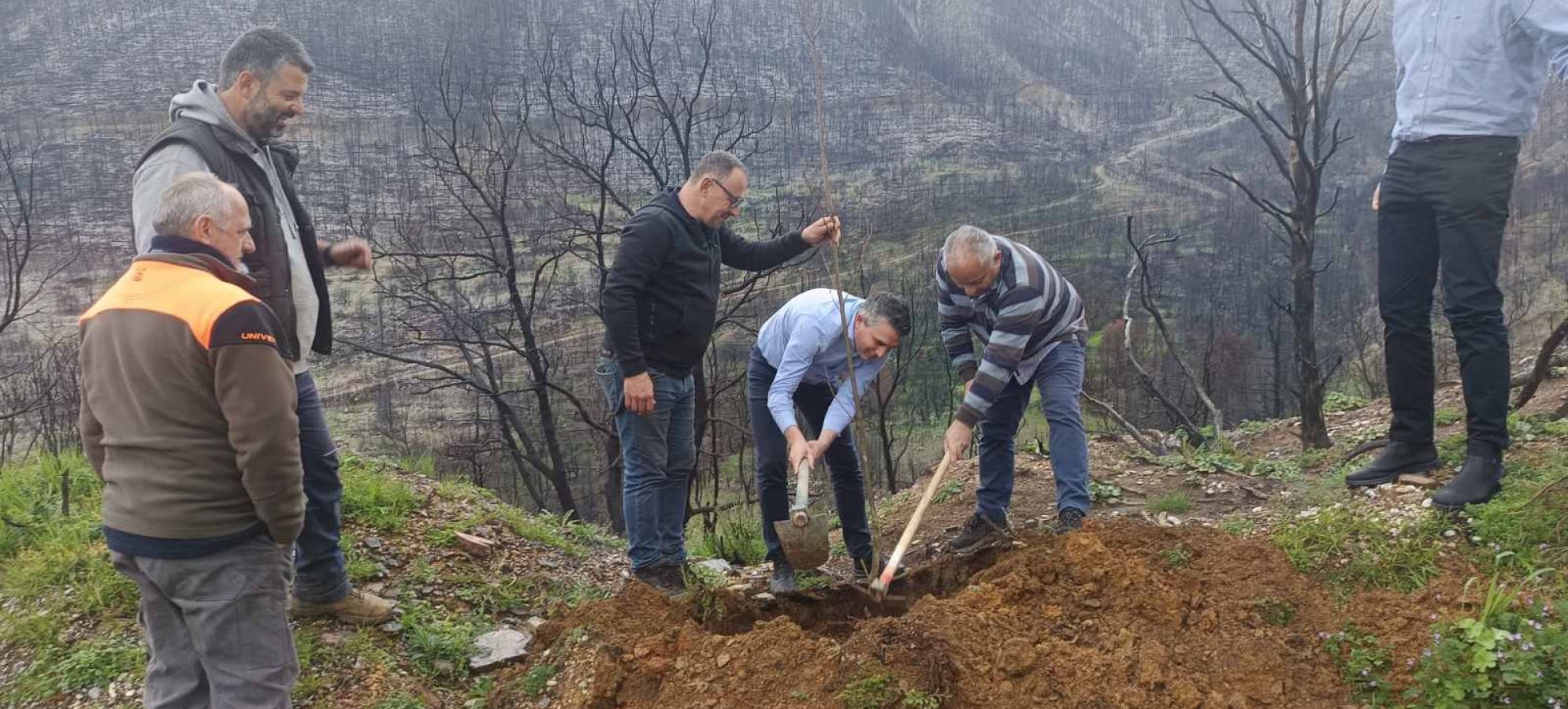 Χρίστος Δήμας: «Φύτεψε μια καστανιά, για την Καστανιά!» – Συμβολική δράση αναδάσωσης στην Κορινθία [Βίντεο]